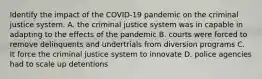 Identify the impact of the COVID-19 pandemic on the criminal justice system. A. the criminal justice system was in capable in adapting to the effects of the pandemic B. courts were forced to remove delinquents and undertrials from diversion programs C. It force the criminal justice system to innovate D. police agencies had to scale up detentions