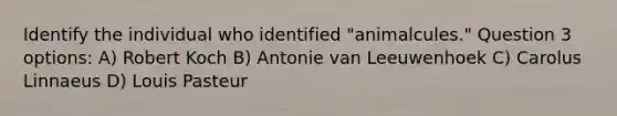 Identify the individual who identified "animalcules." Question 3 options: A) Robert Koch B) Antonie van Leeuwenhoek C) Carolus Linnaeus D) Louis Pasteur