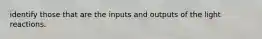 identify those that are the inputs and outputs of the light reactions.