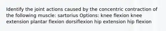 Identify the joint actions caused by the concentric contraction of the following muscle: sartorius Options: knee flexion knee extension plantar flexion dorsiflexion hip extension hip flexion