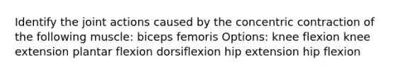 Identify the joint actions caused by the concentric contraction of the following muscle: biceps femoris Options: knee flexion knee extension plantar flexion dorsiflexion hip extension hip flexion