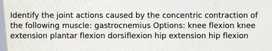 Identify the joint actions caused by the concentric contraction of the following muscle: gastrocnemius Options: knee flexion knee extension plantar flexion dorsiflexion hip extension hip flexion