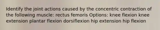 Identify the joint actions caused by the concentric contraction of the following muscle: rectus femoris Options: knee flexion knee extension plantar flexion dorsiflexion hip extension hip flexion