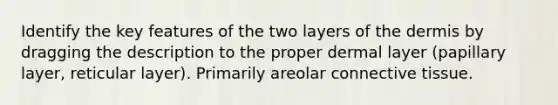 Identify the key features of the two layers of the dermis by dragging the description to the proper dermal layer (papillary layer, reticular layer). Primarily areolar connective tissue.