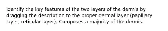 Identify the key features of the two layers of the dermis by dragging the description to the proper dermal layer (papillary layer, reticular layer). Composes a majority of the dermis.