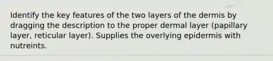 Identify the key features of the two layers of the dermis by dragging the description to the proper dermal layer (papillary layer, reticular layer). Supplies the overlying epidermis with nutreints.