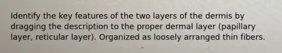 Identify the key features of the two layers of the dermis by dragging the description to the proper dermal layer (papillary layer, reticular layer). Organized as loosely arranged thin fibers.