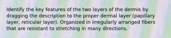 Identify the key features of the two layers of the dermis by dragging the description to the proper dermal layer (papillary layer, reticular layer). Organized in irregularly arranged fibers that are resistant to stretching in many directions.