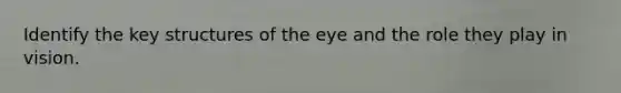 Identify the key structures of the eye and the role they play in vision.