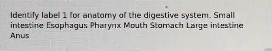 Identify label 1 for anatomy of the digestive system. Small intestine Esophagus Pharynx Mouth Stomach Large intestine Anus