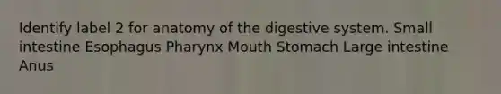 Identify label 2 for anatomy of the digestive system. Small intestine Esophagus Pharynx Mouth Stomach Large intestine Anus