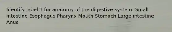 Identify label 3 for anatomy of the digestive system. Small intestine Esophagus Pharynx Mouth Stomach Large intestine Anus