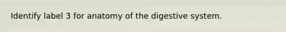 Identify label 3 for anatomy of the digestive system.