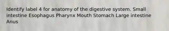 Identify label 4 for anatomy of the digestive system. Small intestine Esophagus Pharynx Mouth Stomach Large intestine Anus