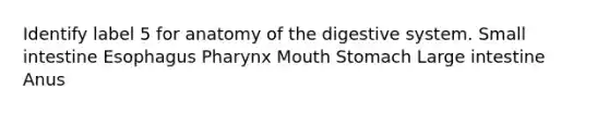 Identify label 5 for anatomy of the digestive system. Small intestine Esophagus Pharynx Mouth Stomach Large intestine Anus