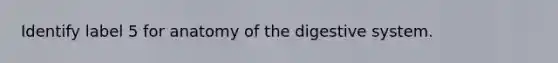 Identify label 5 for anatomy of the digestive system.