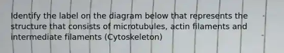 Identify the label on the diagram below that represents the structure that consists of microtubules, actin filaments and intermediate filaments (Cytoskeleton)