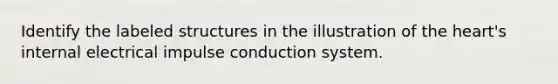 Identify the labeled structures in the illustration of <a href='https://www.questionai.com/knowledge/kya8ocqc6o-the-heart' class='anchor-knowledge'>the heart</a>'s internal electrical impulse conduction system.