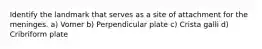 Identify the landmark that serves as a site of attachment for the meninges. a) Vomer b) Perpendicular plate c) Crista galli d) Cribriform plate