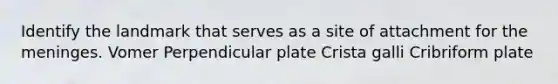 Identify the landmark that serves as a site of attachment for the meninges. Vomer Perpendicular plate Crista galli Cribriform plate
