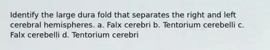 Identify the large dura fold that separates the right and left cerebral hemispheres. a. Falx cerebri b. Tentorium cerebelli c. Falx cerebelli d. Tentorium cerebri