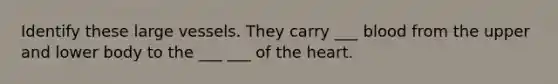 Identify these large vessels. They carry ___ blood from the upper and lower body to the ___ ___ of the heart.