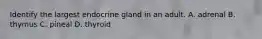 Identify the largest endocrine gland in an adult. A. adrenal B. thymus C. pineal D. thyroid