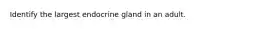 Identify the largest endocrine gland in an adult.