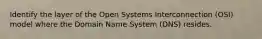 Identify the layer of the Open Systems Interconnection (OSI) model where the Domain Name System (DNS) resides.