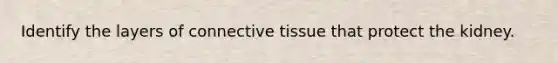 Identify the layers of connective tissue that protect the kidney.