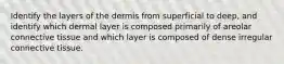 Identify the layers of the dermis from superficial to deep, and identify which dermal layer is composed primarily of areolar connective tissue and which layer is composed of dense irregular connective tissue.