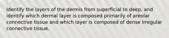 Identify the layers of the dermis from superficial to deep, and identify which dermal layer is composed primarily of areolar connective tissue and which layer is composed of dense irregular connective tissue.