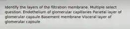 Identify the layers of the filtration membrane. Multiple select question. Endothelium of glomerular capillaries Parietal layer of glomerular capsule Basement membrane Visceral layer of glomerular capsule