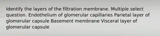 Identify the layers of the filtration membrane. Multiple select question. Endothelium of glomerular capillaries Parietal layer of glomerular capsule Basement membrane Visceral layer of glomerular capsule