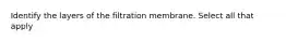 Identify the layers of the filtration membrane. Select all that apply