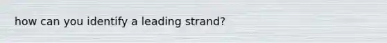 how can you identify a leading strand?