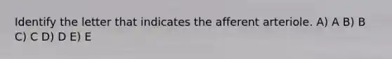 Identify the letter that indicates the afferent arteriole. A) A B) B C) C D) D E) E
