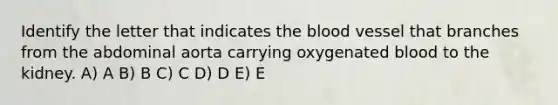 Identify the letter that indicates <a href='https://www.questionai.com/knowledge/k7oXMfj7lk-the-blood' class='anchor-knowledge'>the blood</a> vessel that branches from the abdominal aorta carrying oxygenated blood to the kidney. A) A B) B C) C D) D E) E