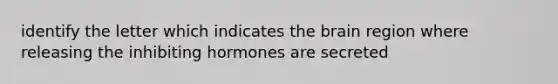 identify the letter which indicates the brain region where releasing the inhibiting hormones are secreted