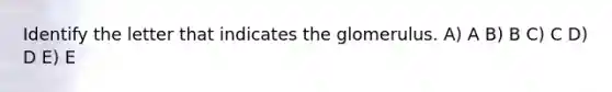 Identify the letter that indicates the glomerulus. A) A B) B C) C D) D E) E