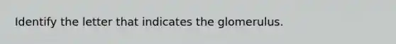 Identify the letter that indicates the glomerulus.