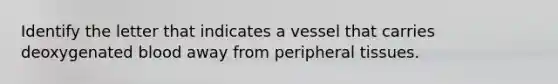 Identify the letter that indicates a vessel that carries deoxygenated blood away from peripheral tissues.