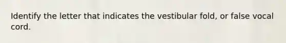 Identify the letter that indicates the vestibular fold, or false vocal cord.
