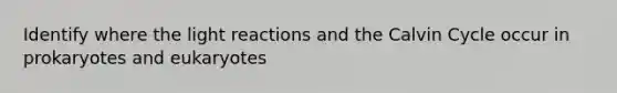 Identify where the light reactions and the Calvin Cycle occur in prokaryotes and eukaryotes