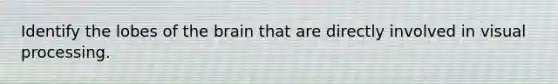 Identify the lobes of the brain that are directly involved in visual processing.