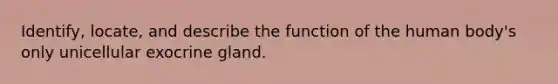 Identify, locate, and describe the function of the human body's only unicellular exocrine gland.