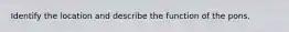 Identify the location and describe the function of the pons.