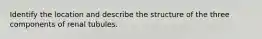 Identify the location and describe the structure of the three components of renal tubules.