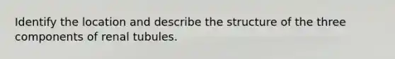 Identify the location and describe the structure of the three components of renal tubules.