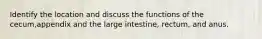 Identify the location and discuss the functions of the cecum,appendix and the large intestine, rectum, and anus.